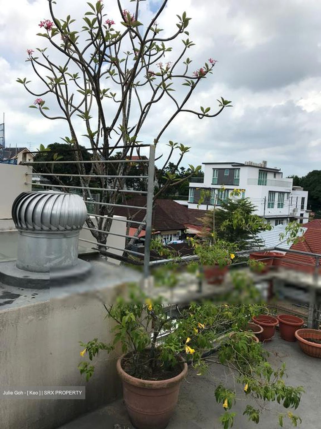 BLANDFORD DRIVE (D19), Terrace #571145751